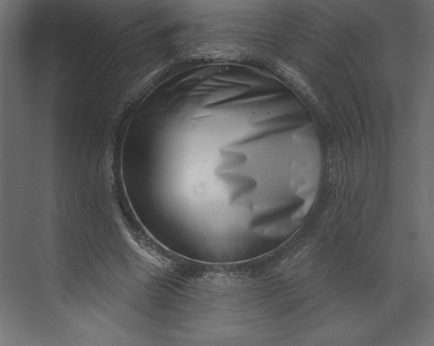 X0000073890538200608251434