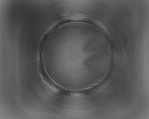 X0000073890539200608251434