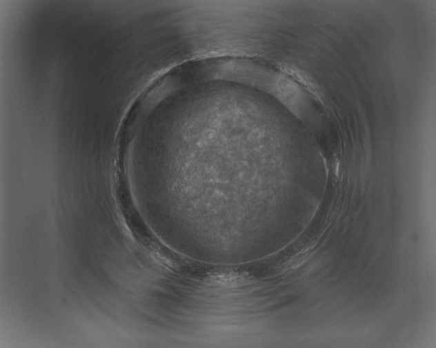 X0000073890540200608251434