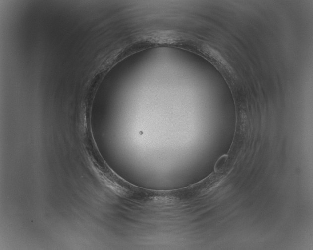 X0000073890541200608251434