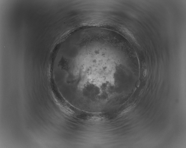 X0000073890542200608251434