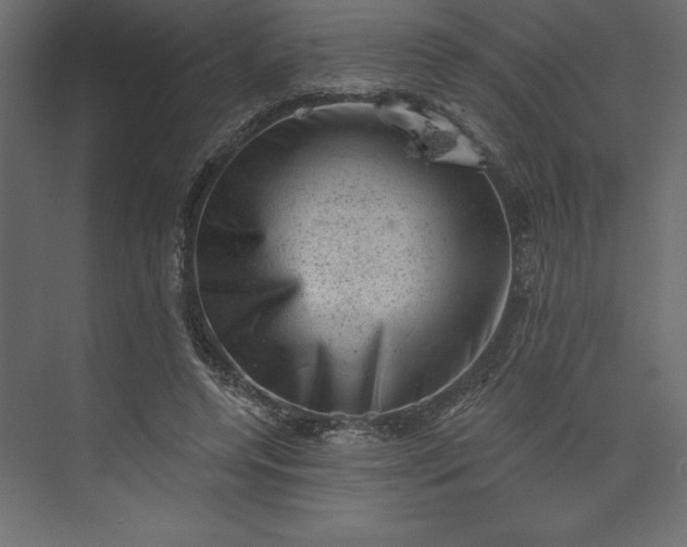 X0000073890544200608251434