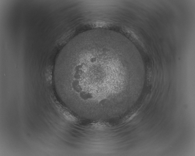 X0000073890545200608251434