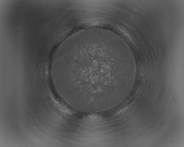 X0000073890546200608251434