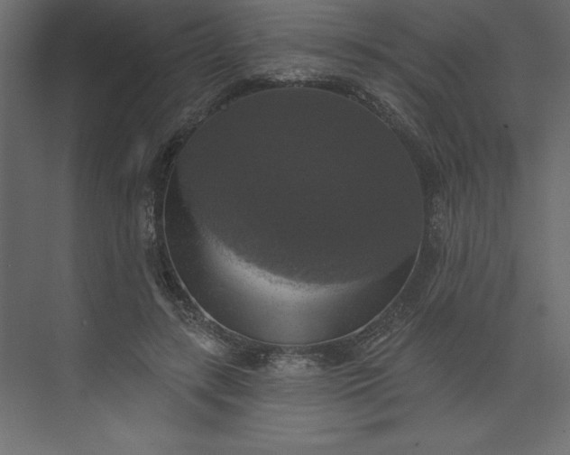 X0000073890547200608251434