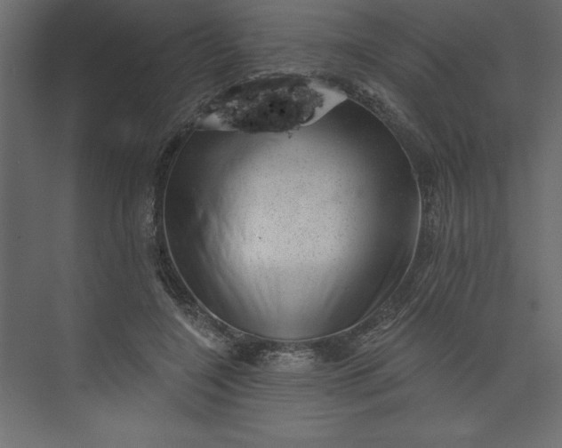 X0000073890548200608251434