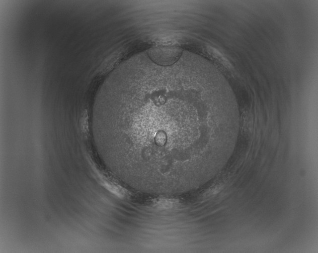 X0000073890549200608251434