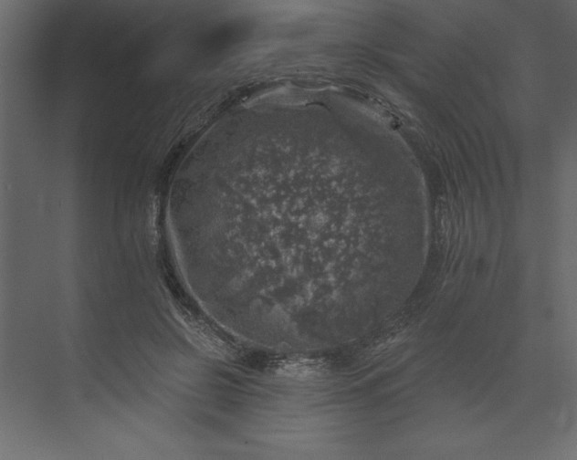 X0000073890550200608251434