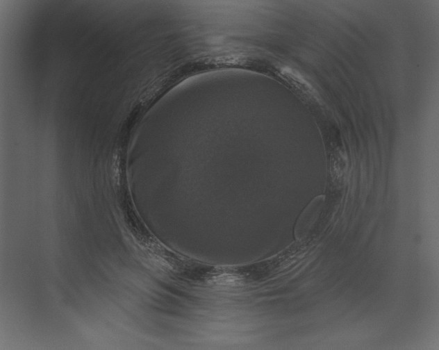 X0000073890551200608251434