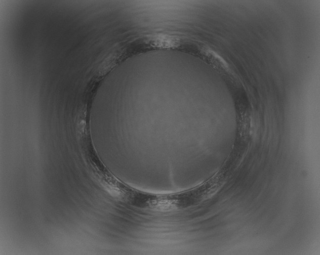 X0000073890553200608251434