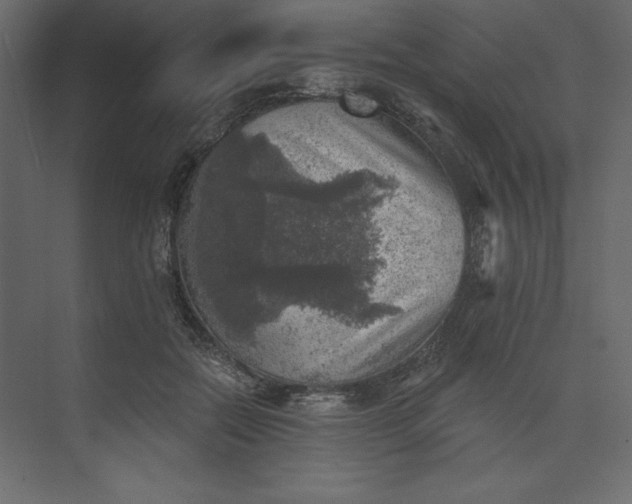 X0000073890554200608251434