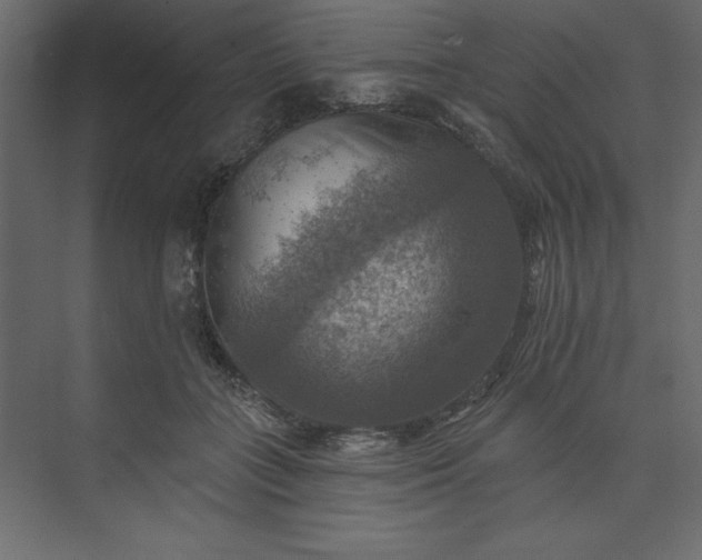 X0000073890555200608251434