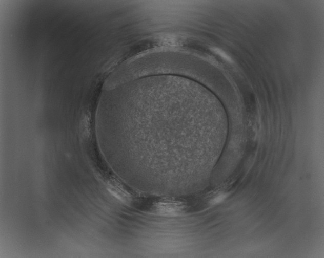 X0000073890556200608251434