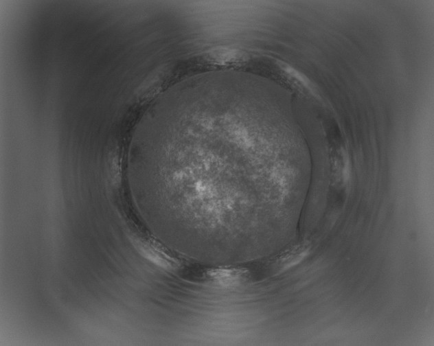 X0000073890558200608251434