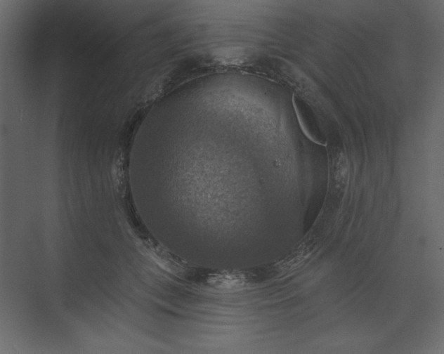 X0000073890559200608251434