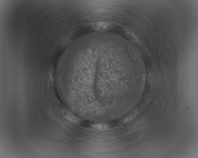 X0000073890561200608251434