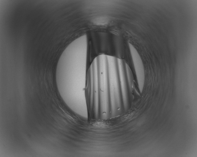 X0000073890562200608251434