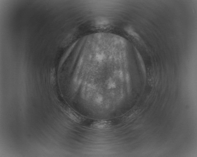 X0000073890563200608251434