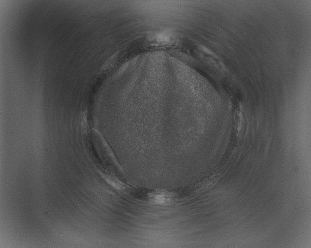 X0000073890564200608251434