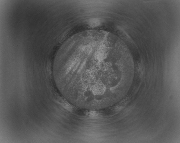 X0000073890565200608251434