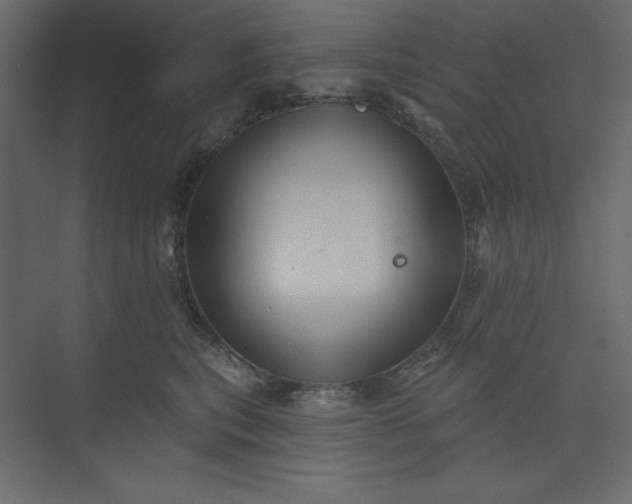 X0000073890567200608251434