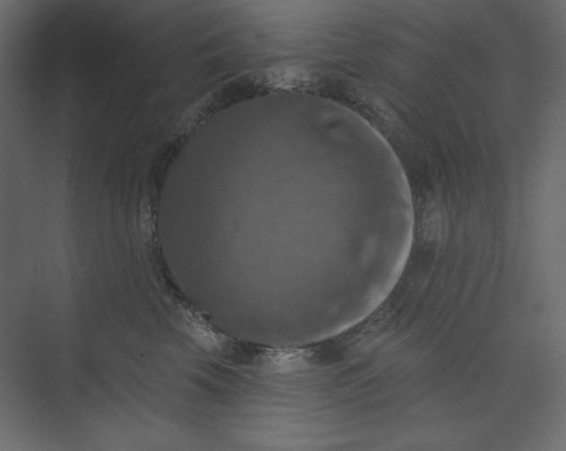 X0000073890569200608251434