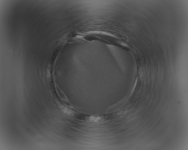 X0000073890570200608251434