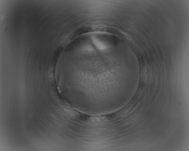 X0000073890571200608251434