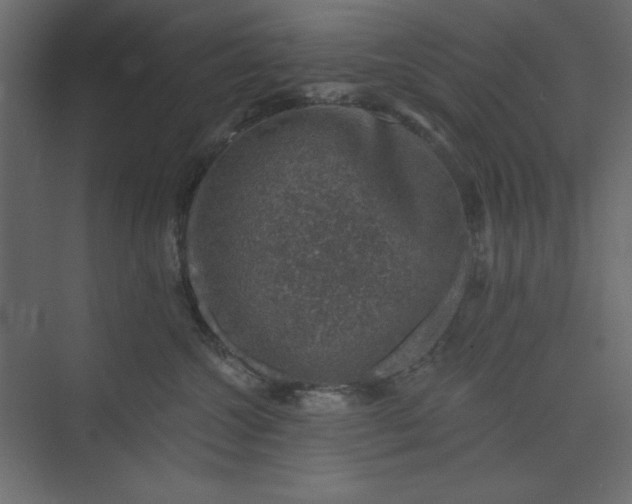 X0000073890572200608251434