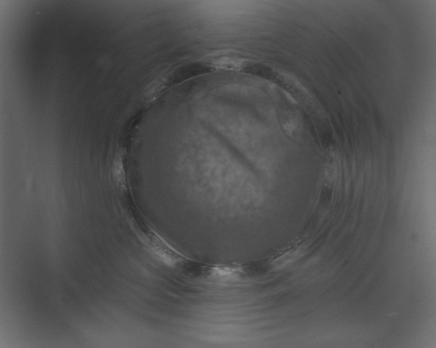 X0000073890573200608251434