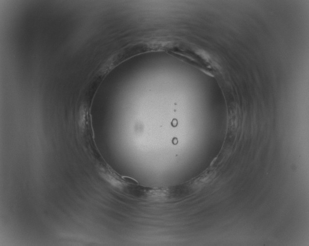 X0000073890574200608251434