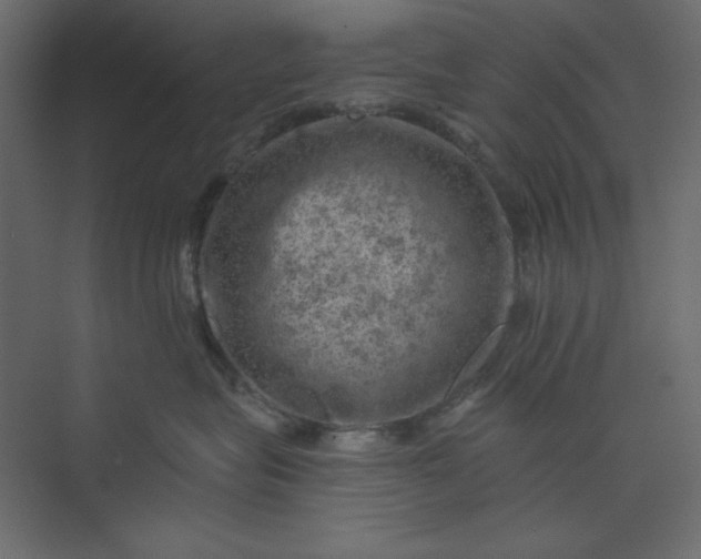 X0000073890575200608251434