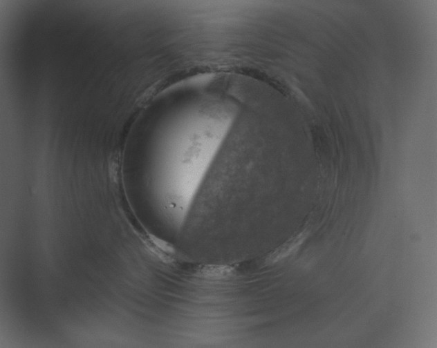 X0000073890576200608251434