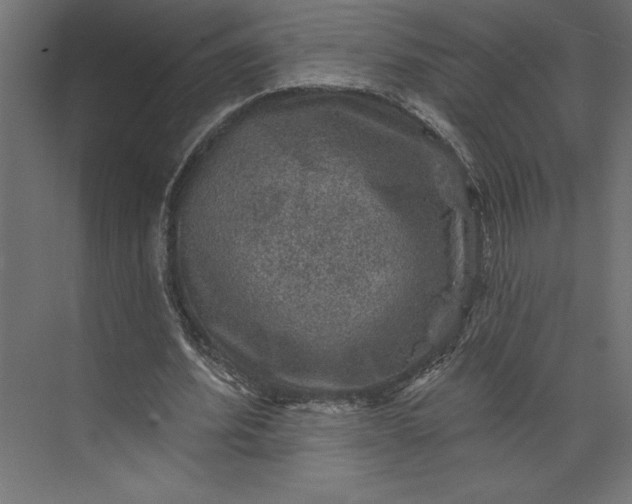 X0000073890580200608251433