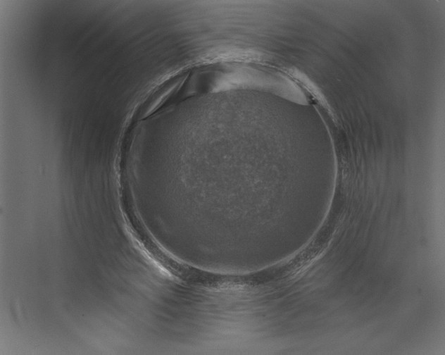 X0000073890581200608251433