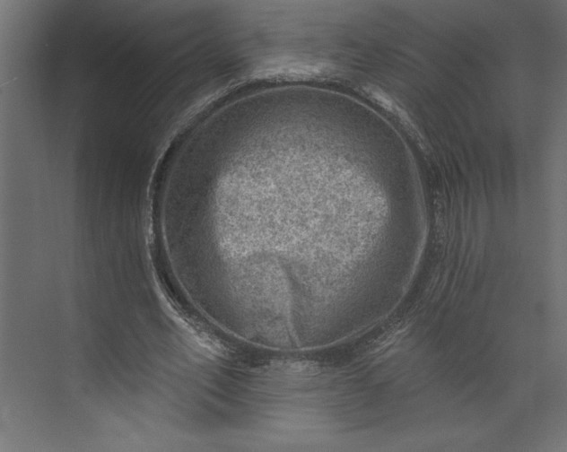 X0000073890582200608251433