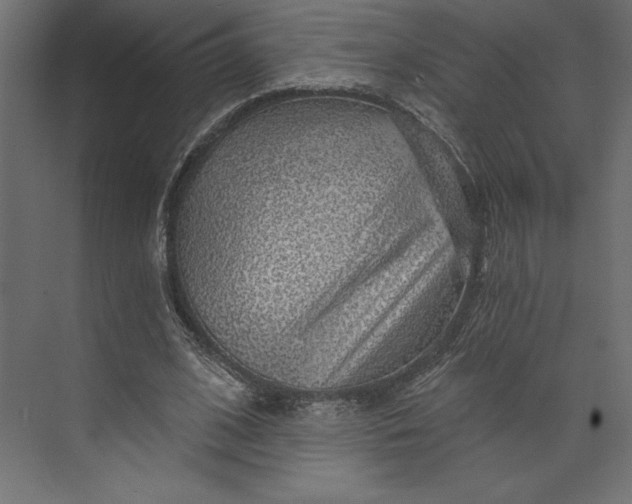 X0000073890584200608251433