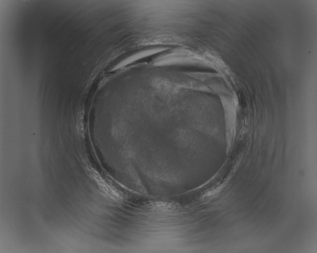 X0000073890585200608251433