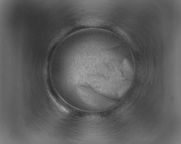 X0000073890586200608251433