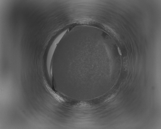 X0000073890589200608251433