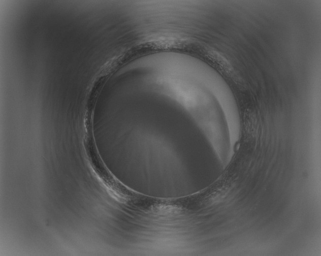 X0000073890590200608251433