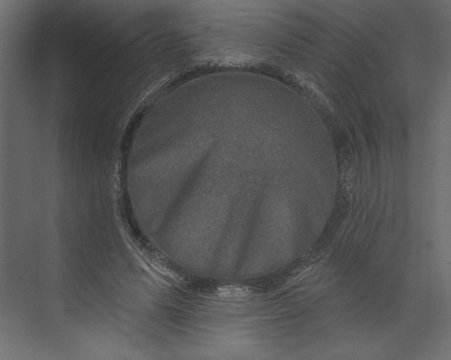 X0000073890591200608251433