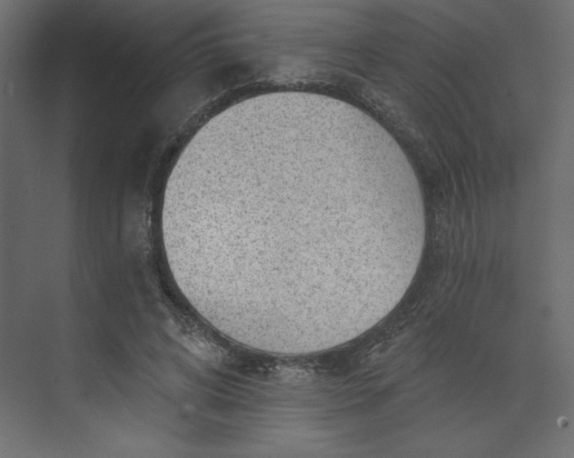 X0000073890592200608251433