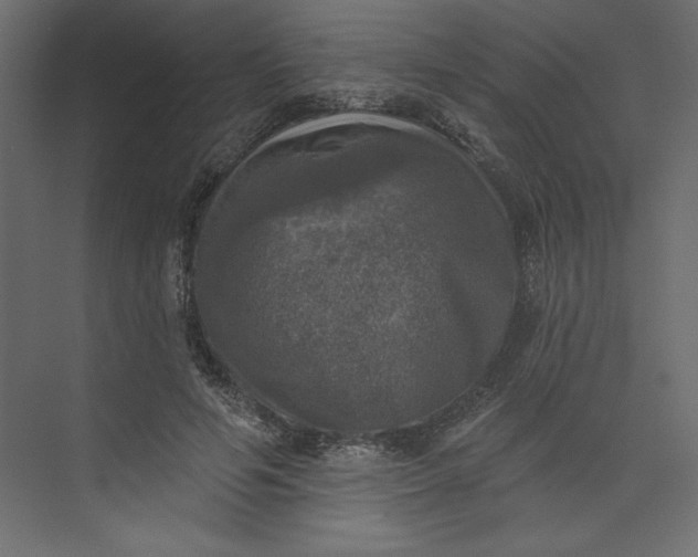 X0000073890594200608251433