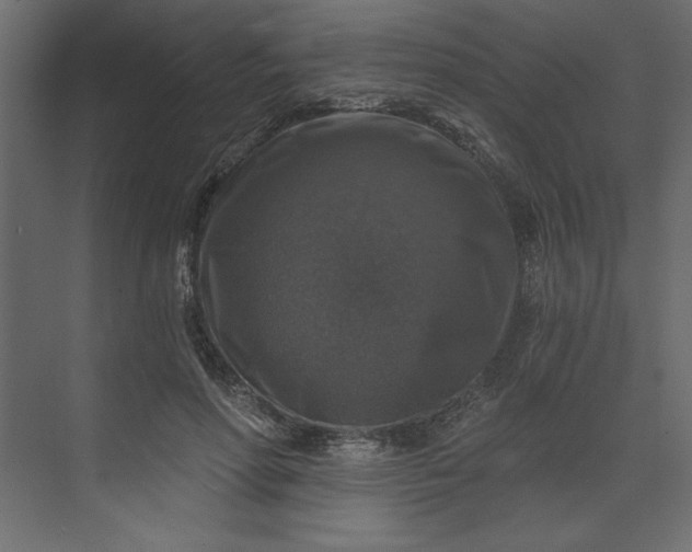 X0000073890598200608251433