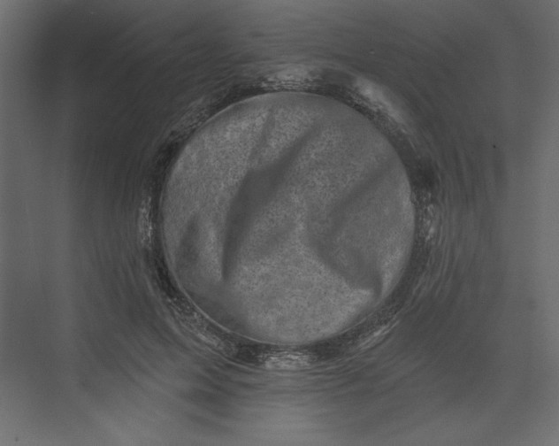 X0000073890599200608251433