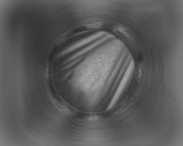 X0000073890600200608251433