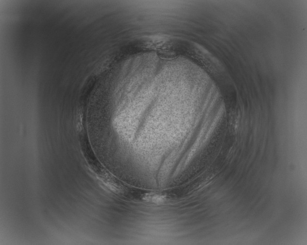 X0000073890602200608251433