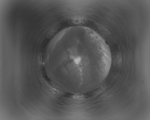 X0000073890606200608251433