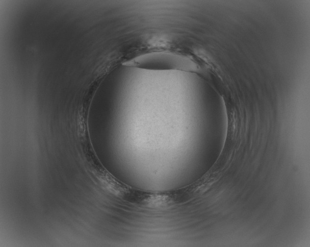 X0000073890609200608251433